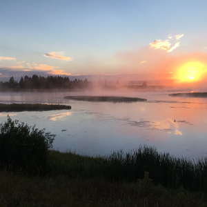 Confluence: A Reading from the River featuring poets Isabelle Ghabash &amp;amp; Moudi Sbeity 