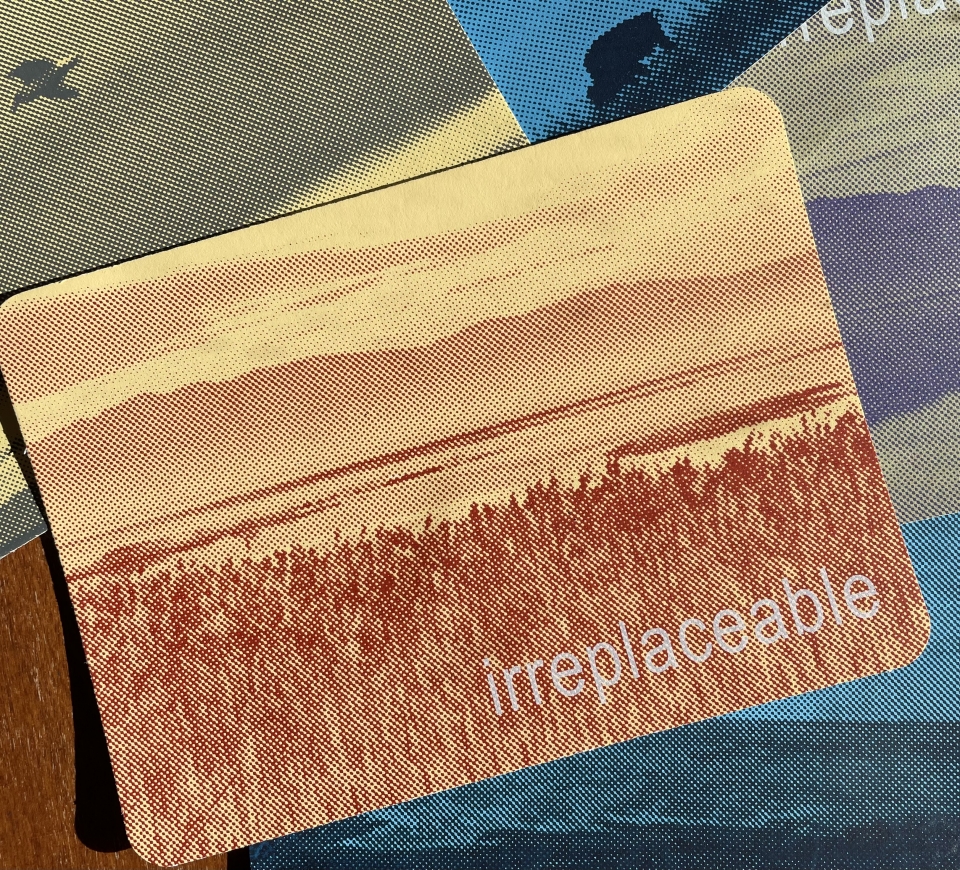 Postcards designed and created by Saltgrass Printmakers